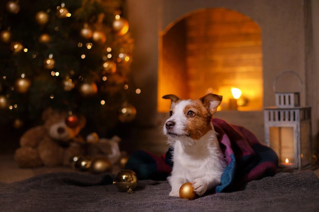 Cute dog sitting by a Christmas tree and warm gas logs fireplace.