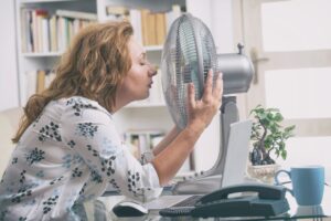 Read more about the article Beat the Heat: Summer HVAC Maintenance Tips for a Cool and Efficient Home